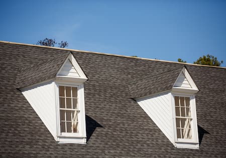 Comprehensive Roof Cleaning Service