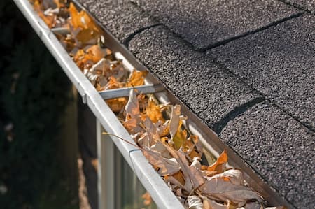 Gutter Cleaning is Better Left to Professionals