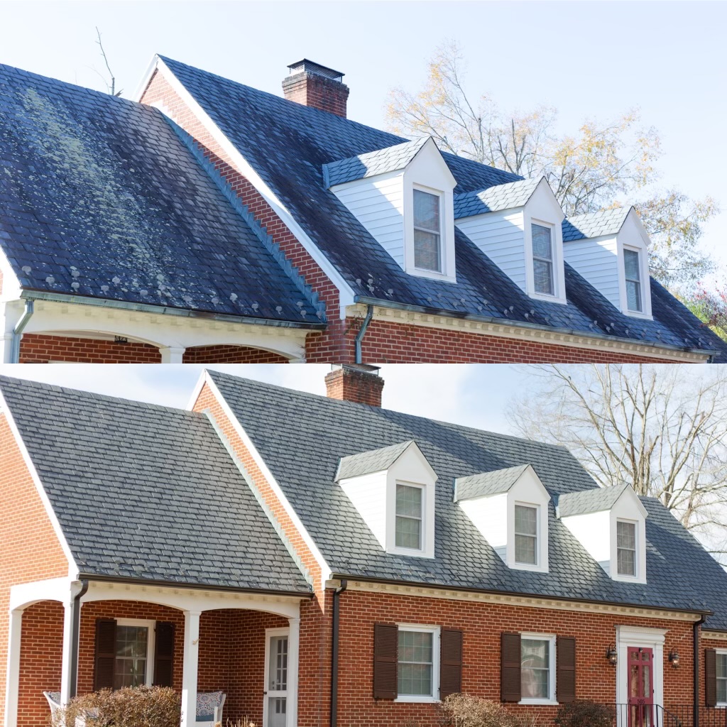 Roof cleaning