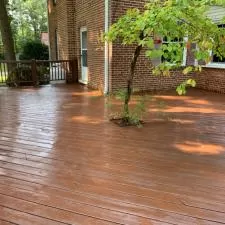 Deck Staining 2